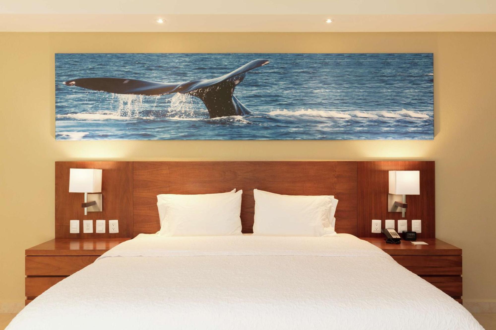 Hampton Inn & Suites By Hilton Los Cabos San Jose del Cabo Luaran gambar